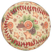 ホリデースパイスソフトボール ソフトボール (正面左)