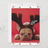 ホリデーズブフランスのルドッグかわいい犬のクリスマス シーズンカード (正面)
