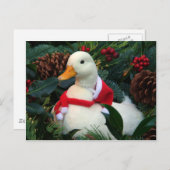 ホリデーダック シーズンポストカード (正面/裏面)