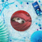 ホリデーチワワ ペーパープレート (パーティー)