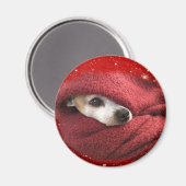 ホリデーチワワ マグネット (正面/裏面)