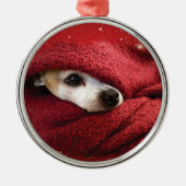 ホリデーチワワ メタルオーナメント (正面)