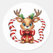 ホリデートナカイ ラウンドシール (正面)