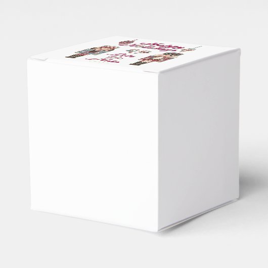 ホリデーナッツクラッカーレッツゴーナッツ フェイバーボックス (正面サイド)