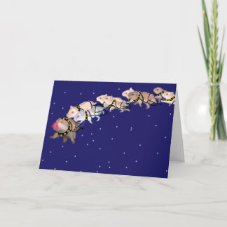 ホリデーハムスター シーズンカード