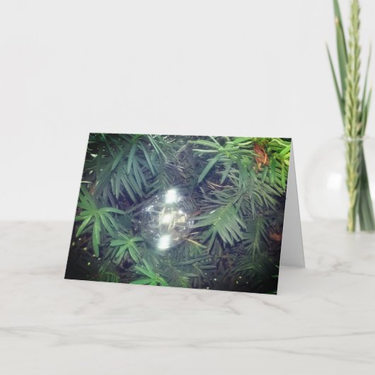 ホリデーバブル シーズンカード (正面)