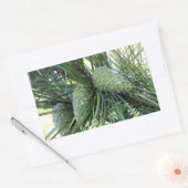ホリデーパインコーン 長方形シール (封筒)