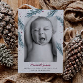 ホリデーパイン葉ズアンドベリー数々のフォト誕生 案内状