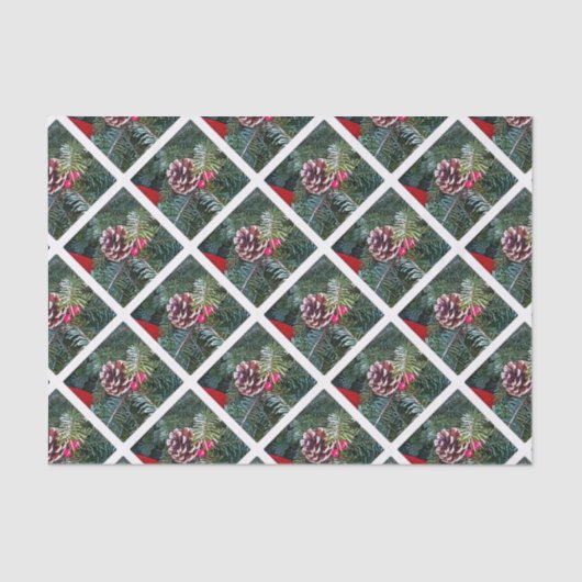 ホリデーパイン 薄葉紙 (正面)