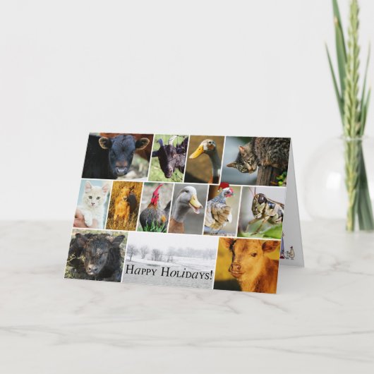 ホリデーファームカード シーズンカード (正面)