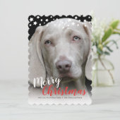 ホリデーフォトカード |犬の愛 シーズンカード (スタンド正面)