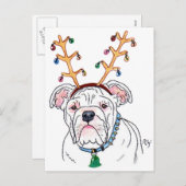 ホリデーブルドッグポストカード シーズンポストカード (正面/裏面)