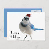 ホリデーブルージェイ シーズンポストカード (正面/裏面)