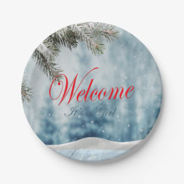 ホリデーベビーシャワー ペーパープレート