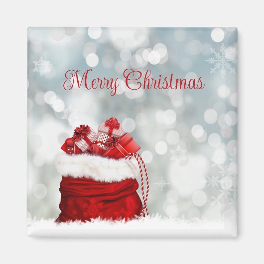 ホリデーマグネット マグネット (正面)