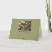 ホリデーメス（鳥）ショウジョウコウカンチョウ シーズンカード (裏面)