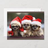 ホリデー動物ポストカード シーズンポストカード (正面/裏面)