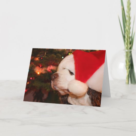 ホリデー ウィッシュ シーズンカード (正面)