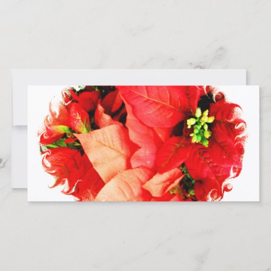 ホリデー ギャザリング シーズンカード (正面)