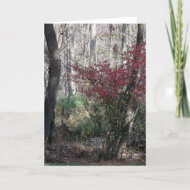 ホリデー ノート 挨拶カード