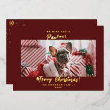 ホリデー ペット 写真 メリークリスマス ホイル カー