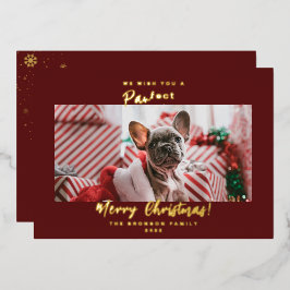 ホリデー ペット 写真 メリークリスマス ホイル カー
