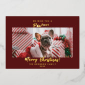 ホリデー ペット 写真 メリークリスマス ホイル カー (正面)