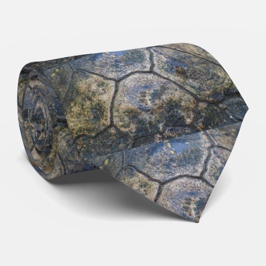 ホリネズミカメの貝 ネクタイ (ロール)