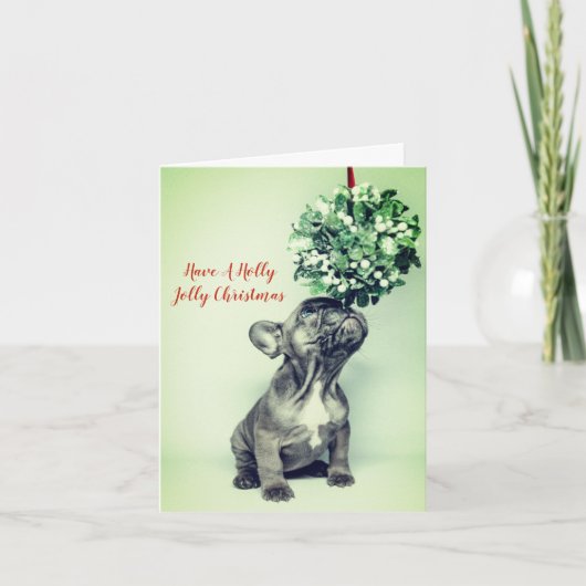 ホリーすてきブフランスのルドッグクリスマス シーズンカード (正面)