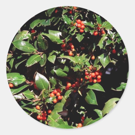 ホリーとベリーのシール ラウンドシール (正面)