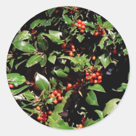 ホリーとベリーのシール ラウンドシール