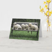 ホリーのベンチフォトカード カード (黄色い花)