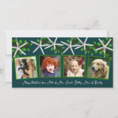ホリーの海の星4つフォトファミリークリスマス シーズンカード (正面)