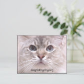 ホリーはがき ポストカード (スタンド正面)