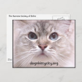 ホリーはがき ポストカード (正面/裏面)