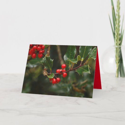 ホリーを飾ったクリスマスカード カード (正面)