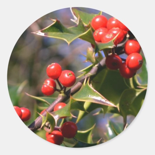 ホリーステッカー ラウンドシール (正面)