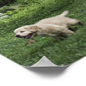 ホリーズハーフダース ポスター (角)