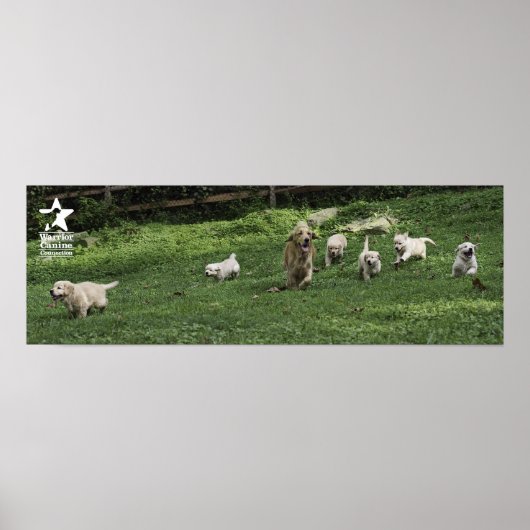 ホリーズハーフダース ポスター (正面)