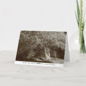 ホリーツリー – セピア カード (裏面)