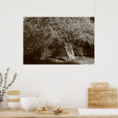 ホリーツリー – セピア ポスター (キッチン)