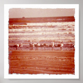 ホリービーチシーグルス ポスター