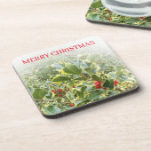 ホリープラントビューコースター コースター (左側)