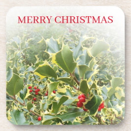 ホリープラントビューコースター コースター