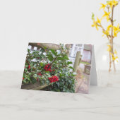 ホリーベリーとフェンス – Martha's Vineヤード カード (黄色い花)