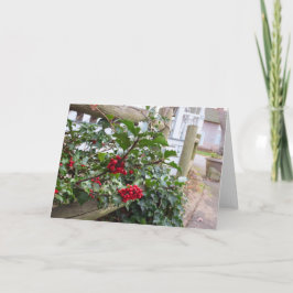 ホリーベリーとフェンス – Martha's Vineヤード カード