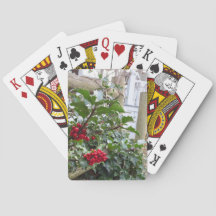 ホリーベリーとフェンス – Martha's Vineヤード