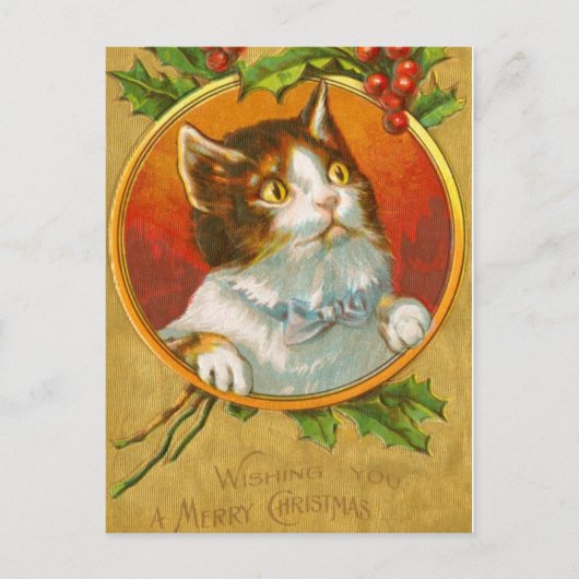 ホリーベリーを添えたクリスマスの子猫 シーズンポストカード (正面)