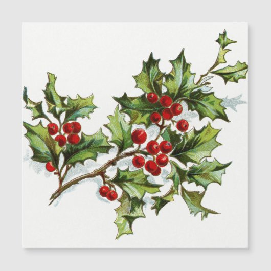 ホリーベリーズ 001 (正面)