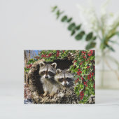 「ホリーベリーツイン」 ポストカード (スタンド正面)